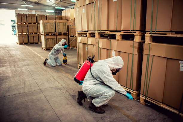 Best Pest Control Treatment  in Boulevard Gardens, FL