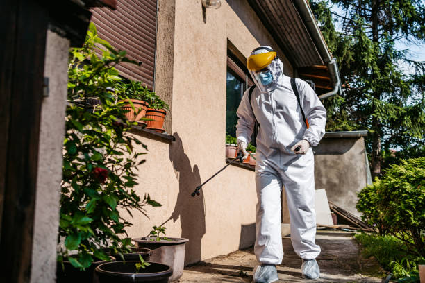 Best Wildlife Control Services  in Boulevard Gardens, FL