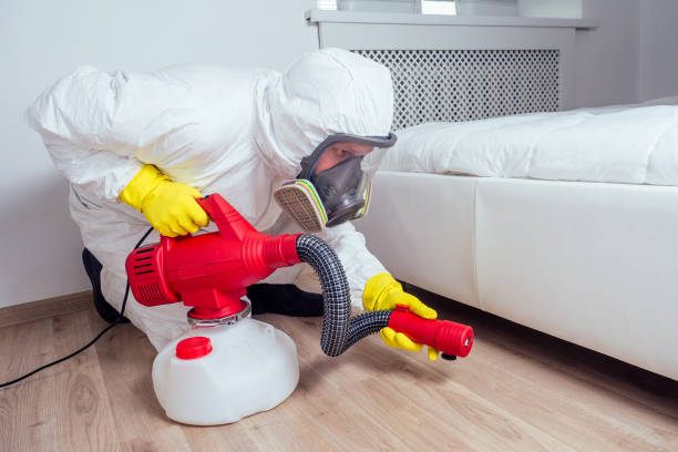 Best Affordable Pest Control Services  in Boulevard Gardens, FL