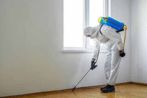 Professional Pest Control in Boulevard Gardens, FL
