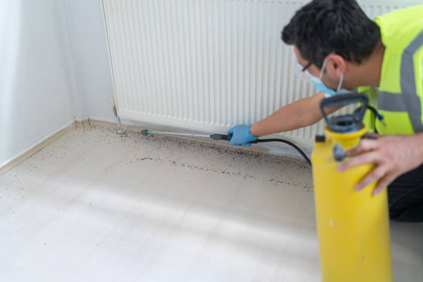 Best Pest Removal Services  in Boulevard Gardens, FL
