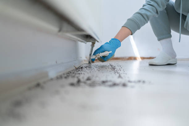 Best Affordable Pest Control Services  in Boulevard Gardens, FL